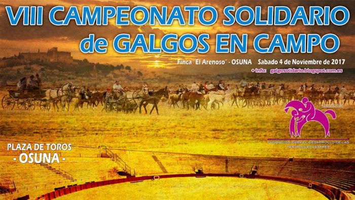 2017 Cpto solidario galgos 21432806_10203860532829738_6533261985381749097_n