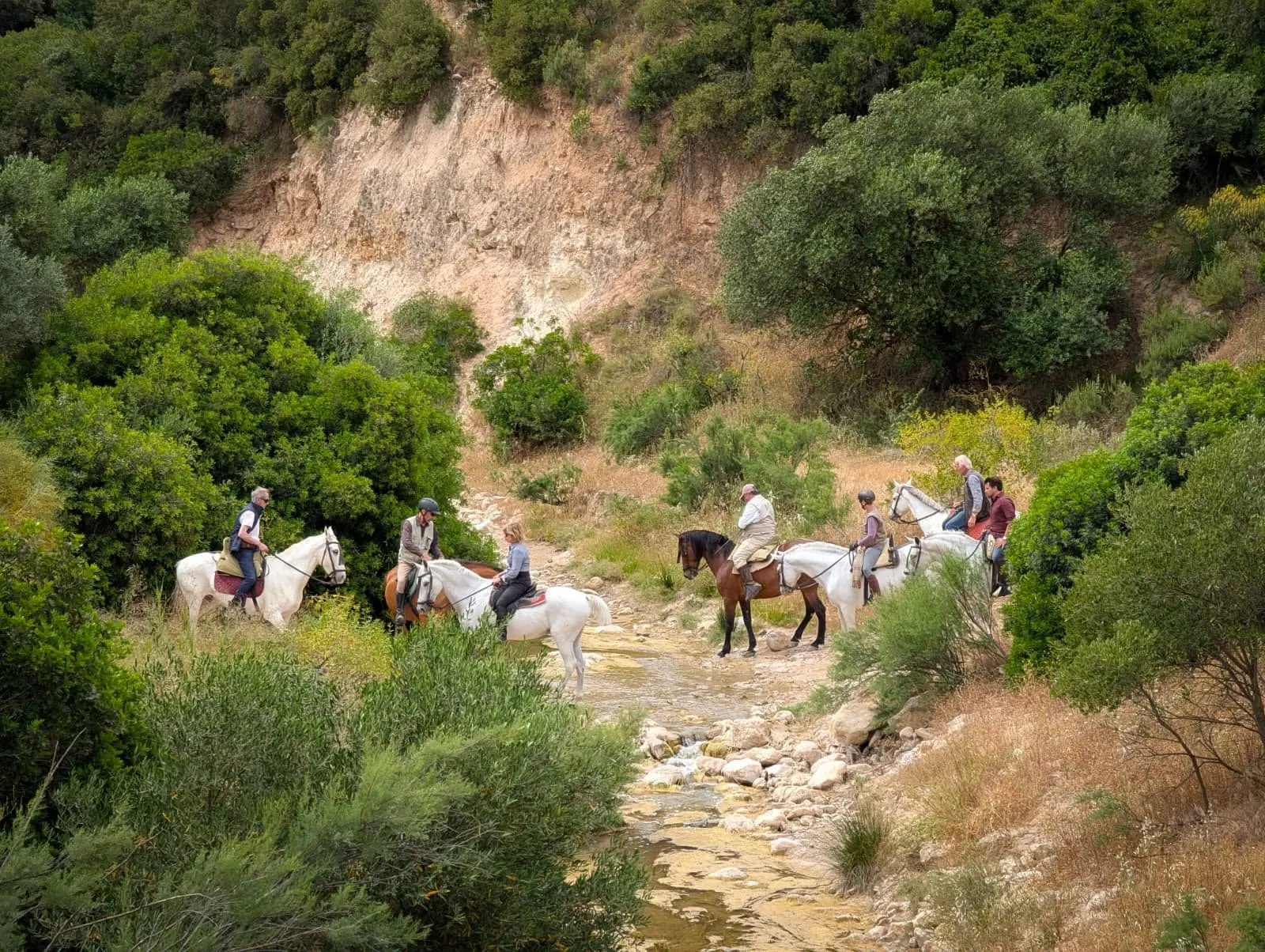 Jinetes cruzando un arroyo entre monte bajo y encinas
