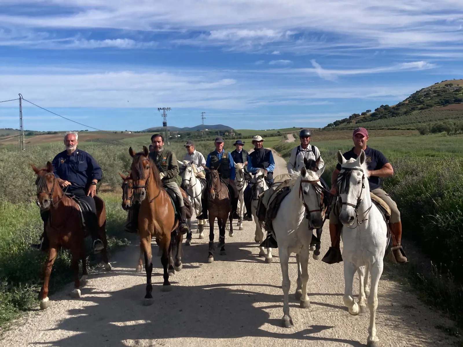 Jinetes avanzando por un camino entre olivares y sembrados bajo un cielo azul