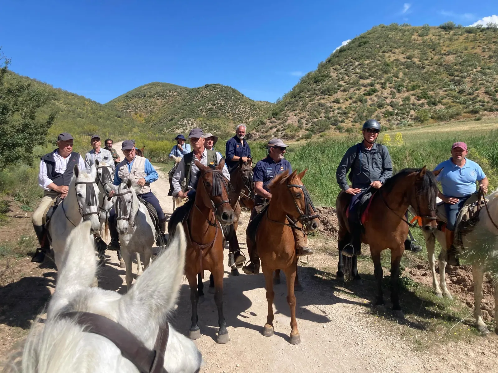 Grupo de jinetes detenidos en un camino entre cerros, visto desde lo alto de un caballo blanco